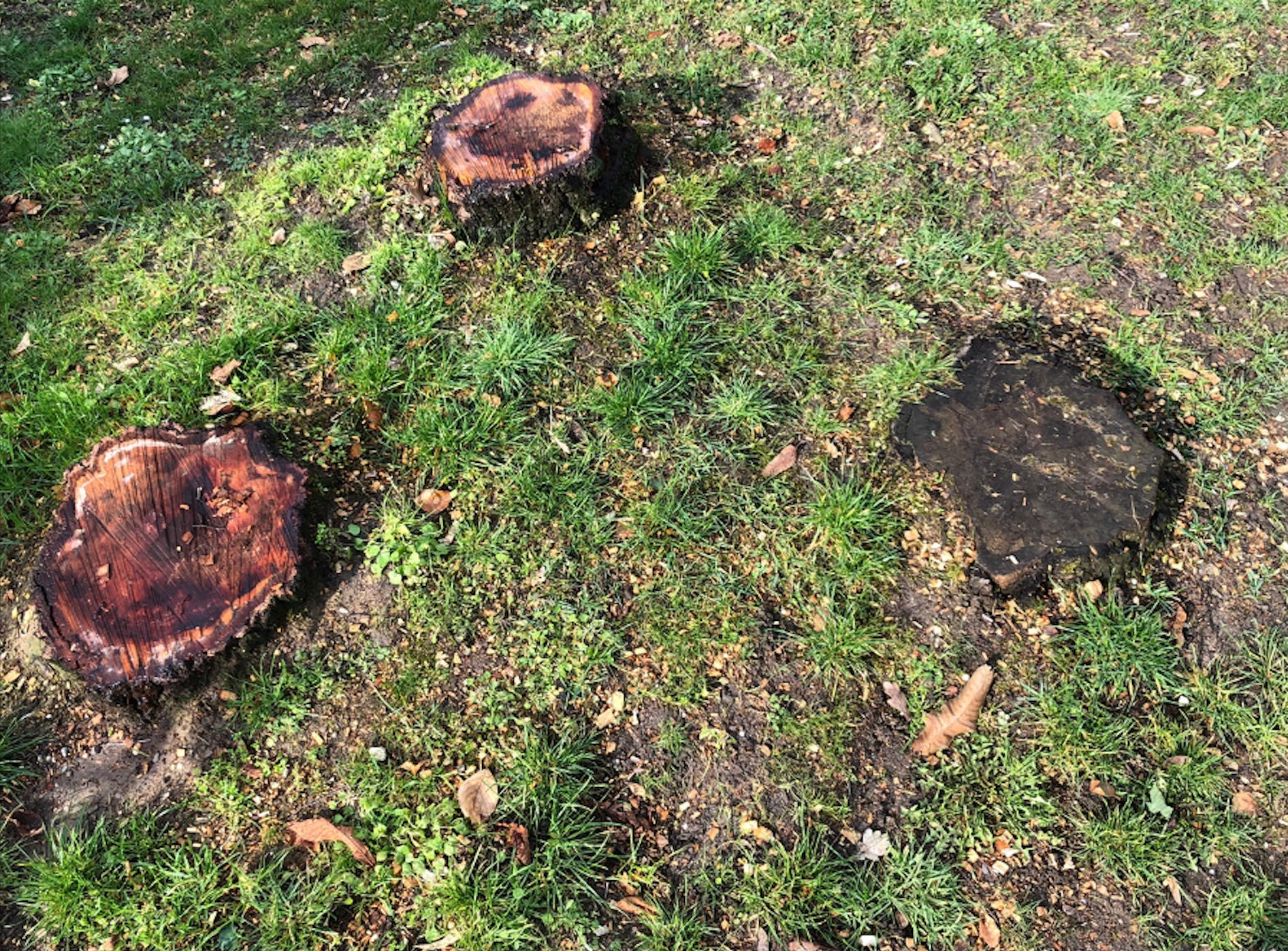 Cote-of-arms of Gemeente Nieuwe IJssel.