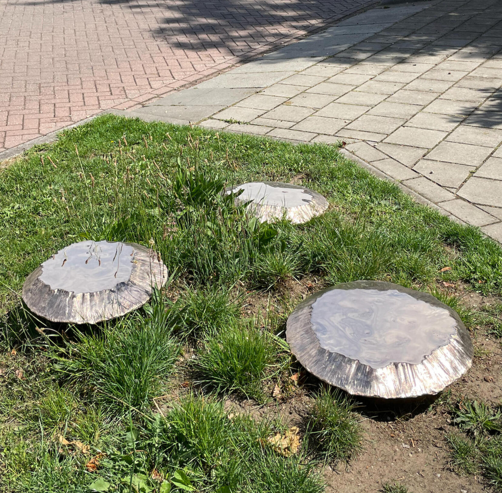 Cote-of-arms of Gemeente Nieuwe IJssel.